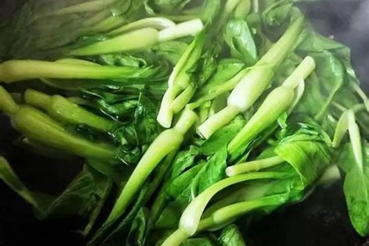 浇醋对黄瓜种植的用处 黄瓜养殖浇醋有什么好处