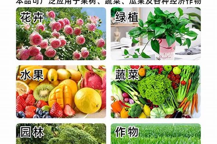 茶叶施什么肥