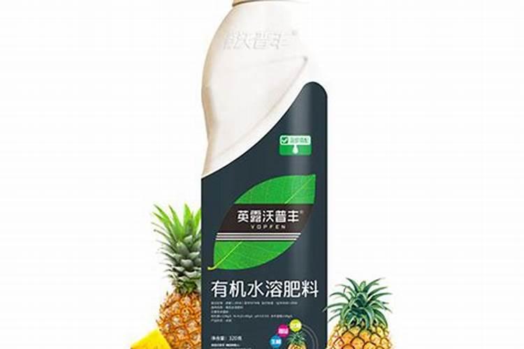 菠萝园的管理:施肥