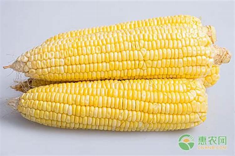 如何种植提高西瓜产量和品质(西瓜怎么施肥能增产增甜)