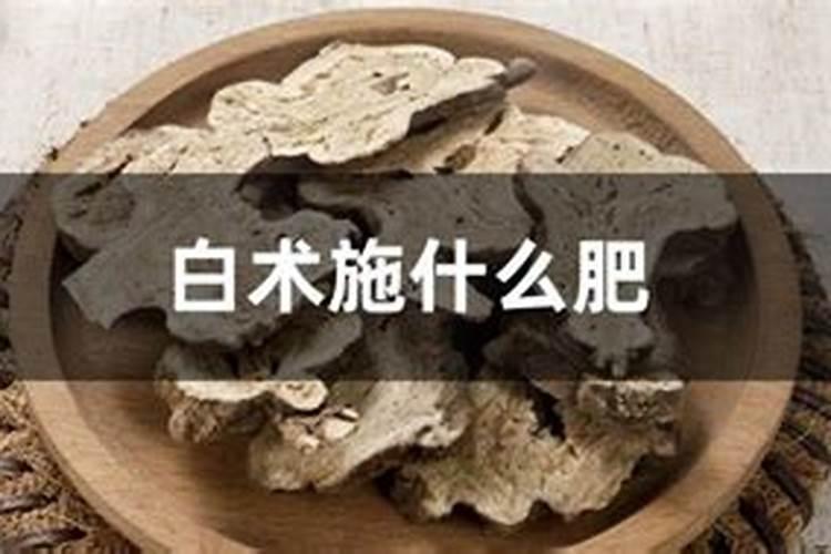 请各位高人帮俺看看这是什么植物？
