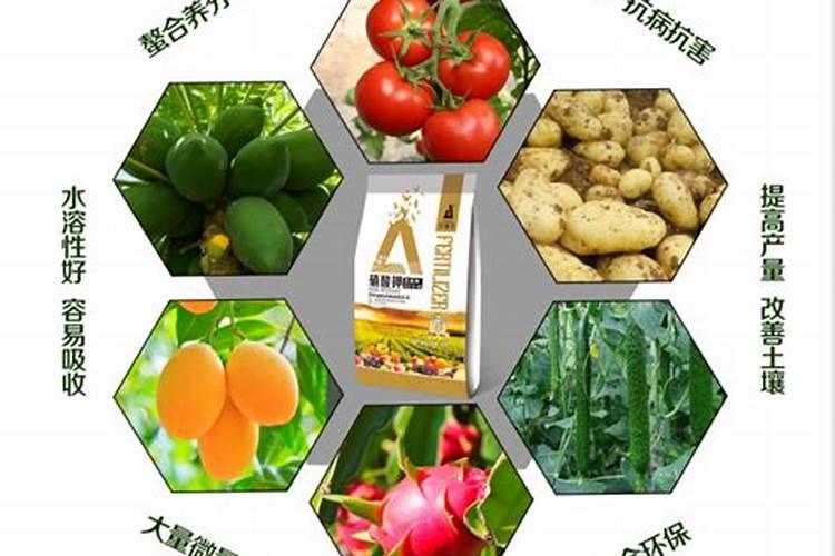 草莓想要多收获几茬,用什么肥料好