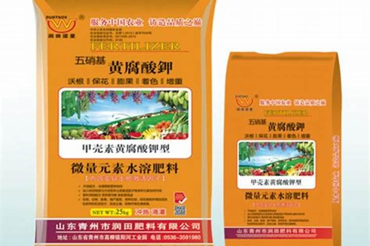 盐碱地能种土豆吗？