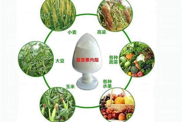 玉米几叶时可以用芸苔素