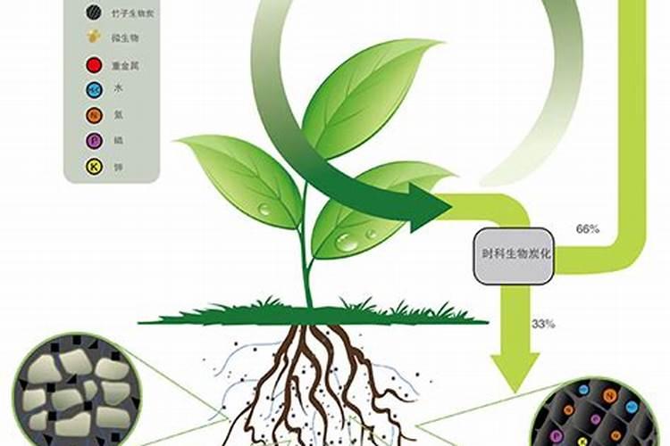 生根粉多久用一次 “生根粉使用频率”