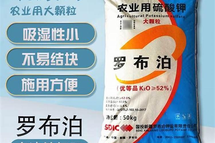 爆金银鱼丁营养分析