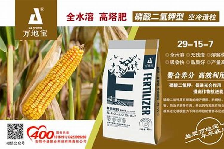 玉米用掺混肥好还是用复合肥好(种植玉米用什么复合肥好)