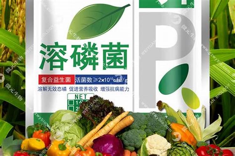 芸豆叶子打焉是怎么回事？