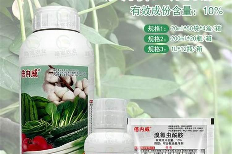 露天种植西红柿的病虫害怎么防治？