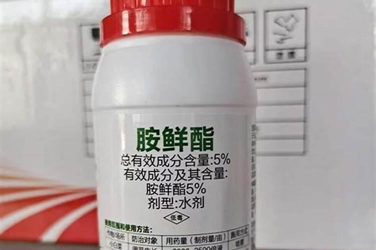 芸苔素与胺鲜酯能一起用吗？