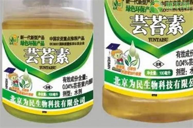 荔枝保花保果农药最佳配方
