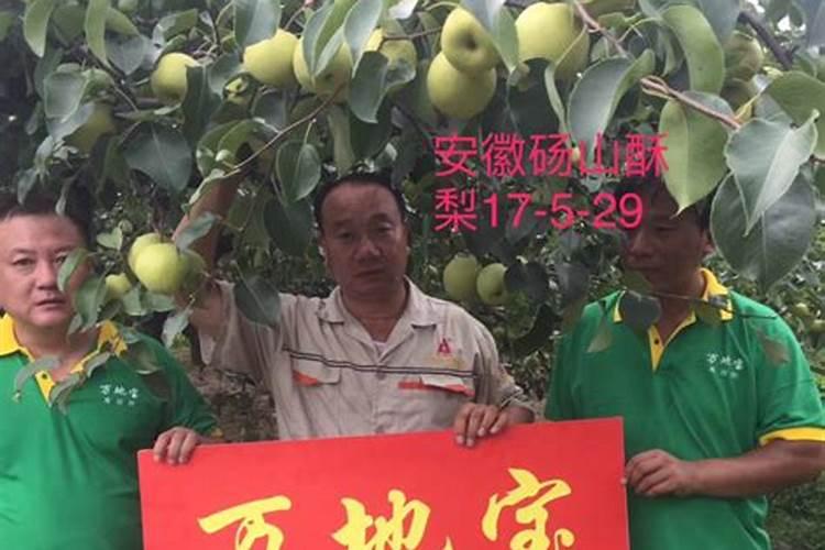 果树什么时候施肥 果树什么时候施肥最好