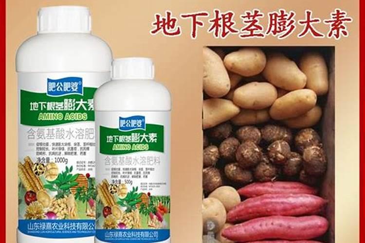 硼在种黄瓜时怎样使用？