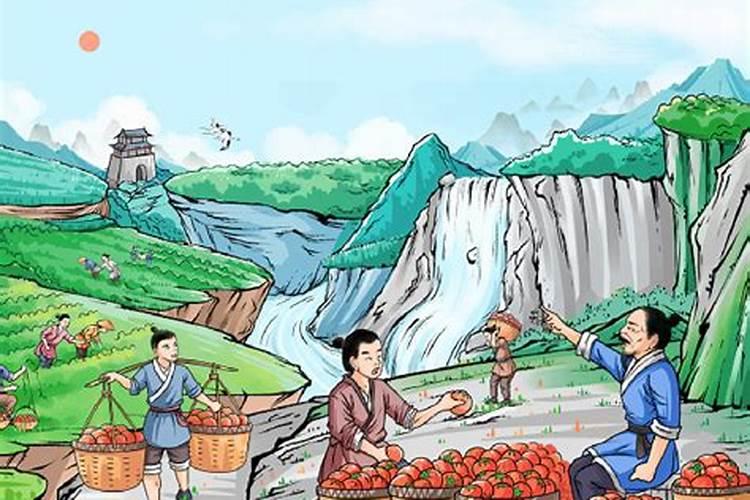西红柿什么时间浇水
