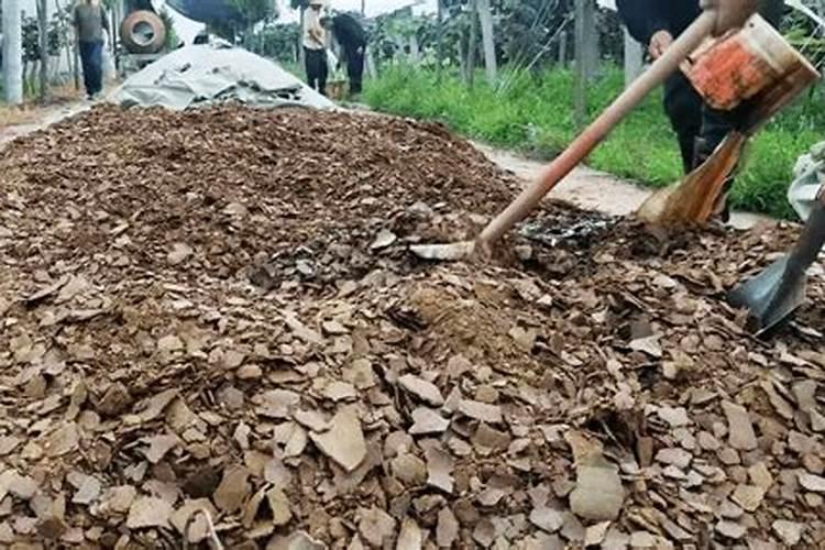 菠菜发黄病虫害补充什么肥料？