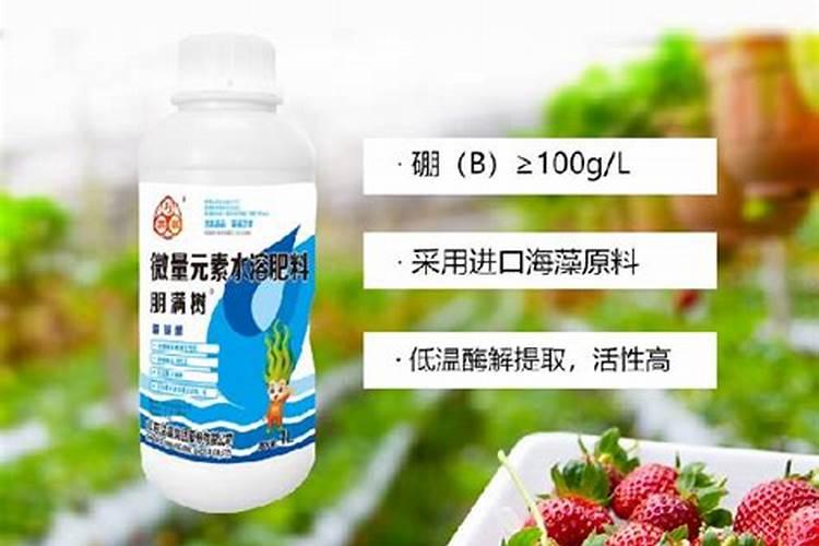 氮肥施用方法及注意事项,氮肥使用过程中注意5大问题