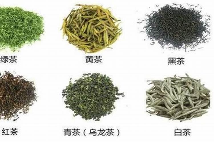 如何自制肥水来养花？