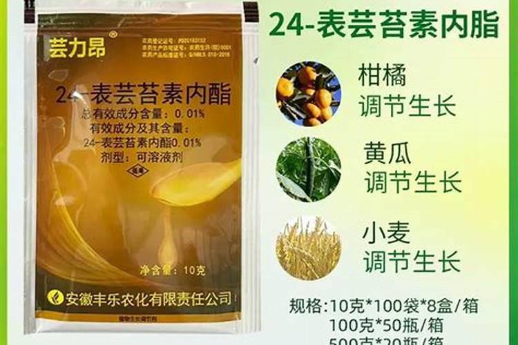 控释肥是什么肥料