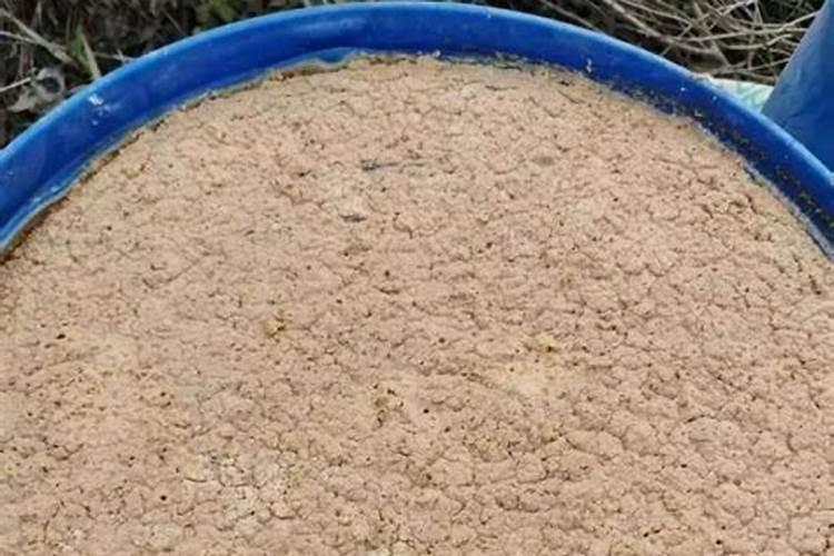 冬季大棚番茄如何浇水施肥(温室大棚番茄什么时候浇)