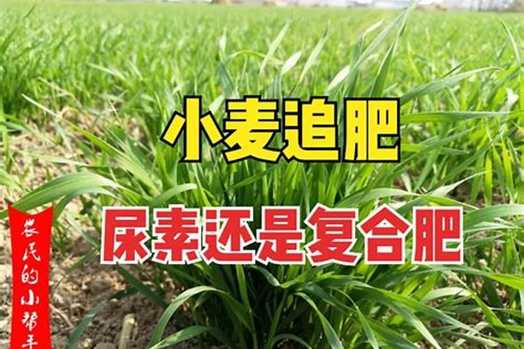 一亩大豆需要施多少化肥