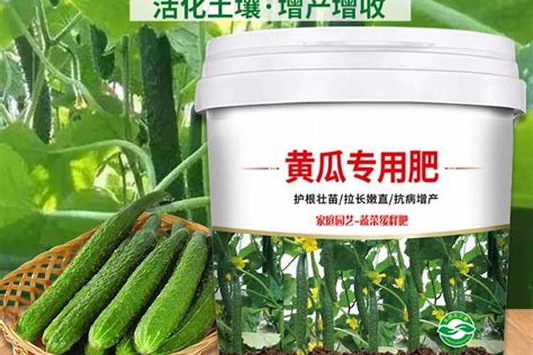 龙克菌简介