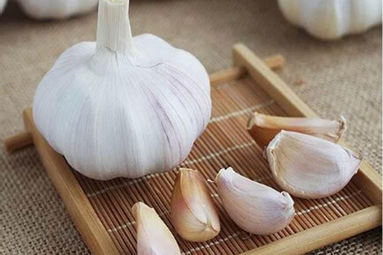 种香菜一亩地多少成本