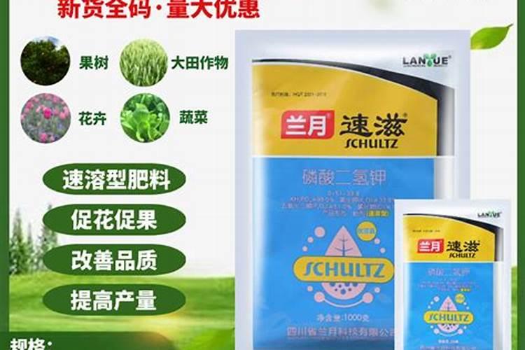 葡萄树底肥放什么肥好(底肥施用方法)