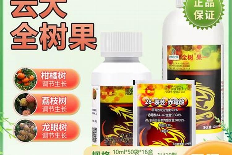 云大全树果沾瓜对多少斤水
