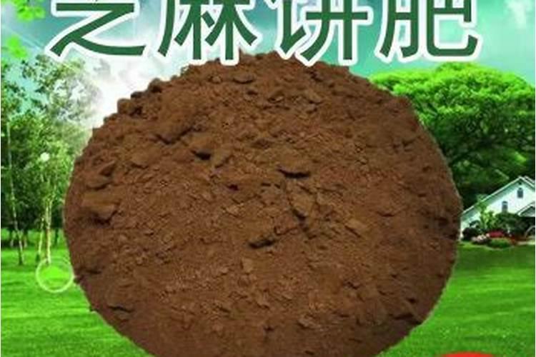 菜子枯饼怎么做肥料