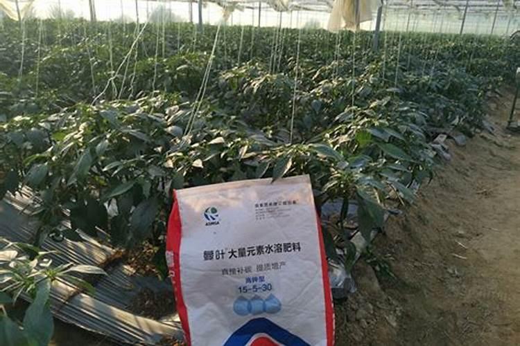 宁夏伊品生物科技股份有限公司是国企吗