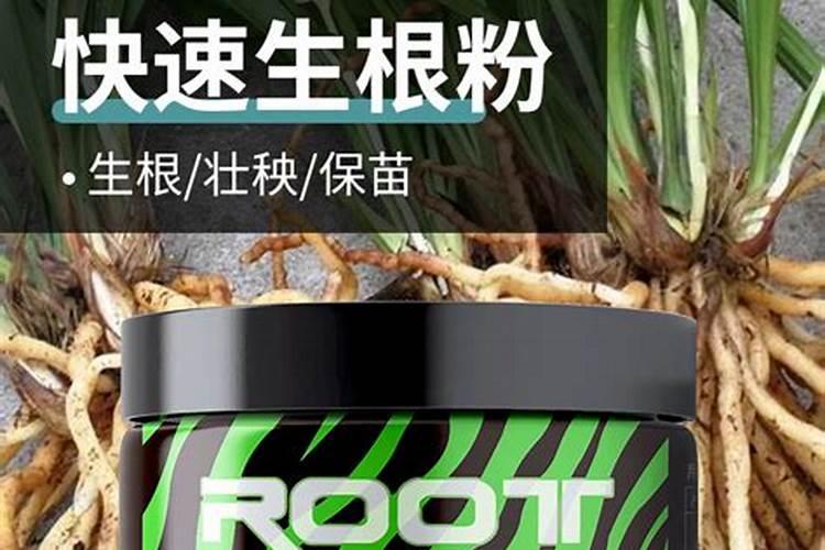 柚子用什么肥料果实更甜 如何施肥增甜效果好
