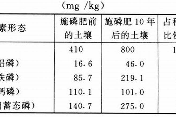 梅花为什么老掉叶