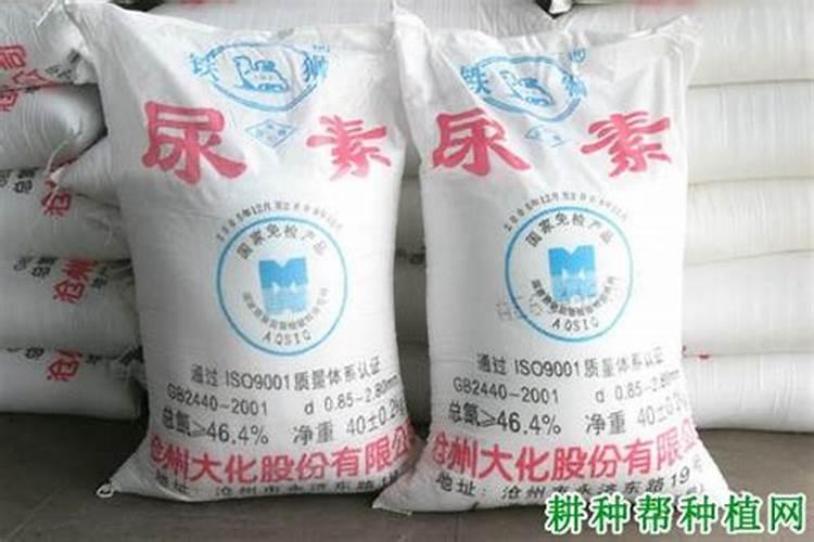 氮肥好还是尿素肥好