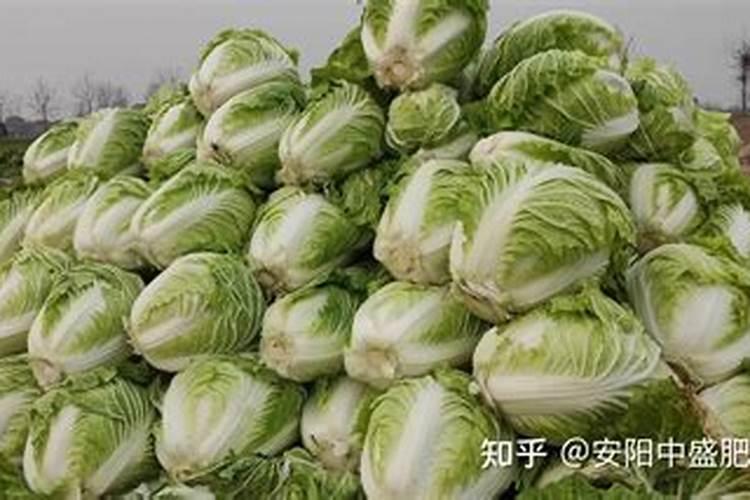 地球上为什么有那么多重元素