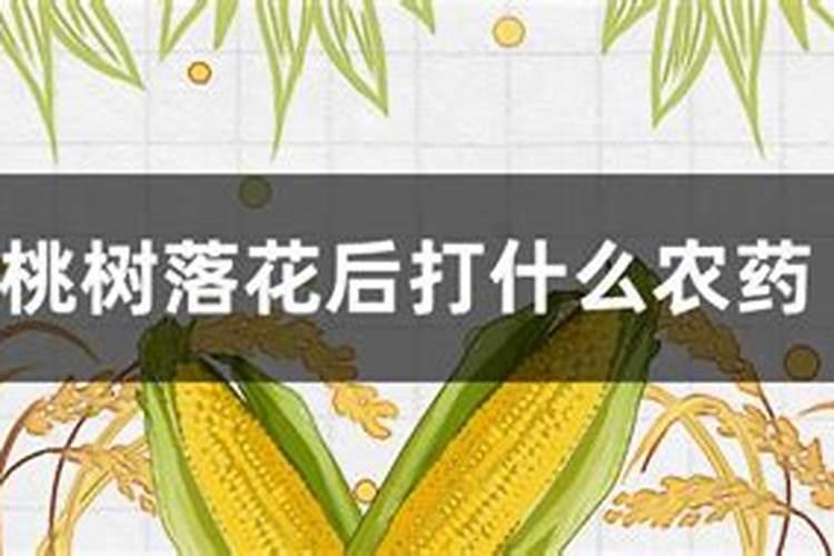 保花保果叶面肥最佳配方