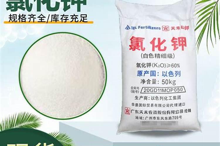 钙镁磷肥适合杨梅地吗？