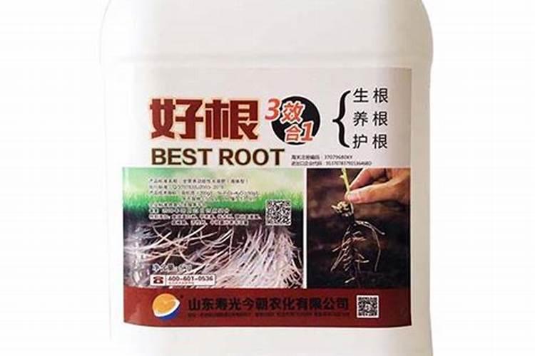 松树用什么肥料最好