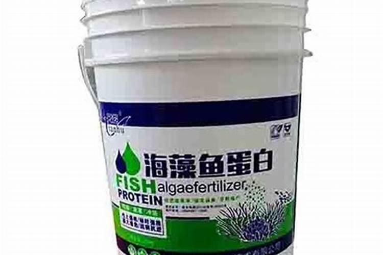 种菜用什么肥料最好