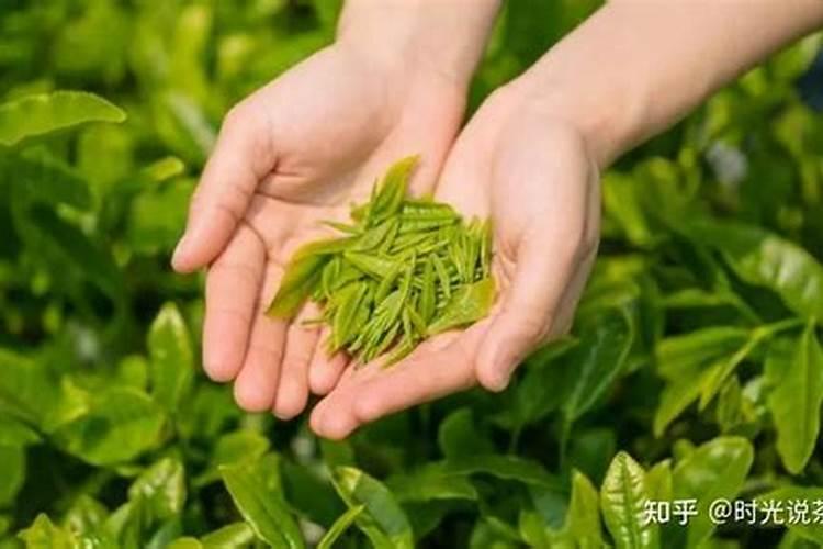 腐殖酸有什么作用