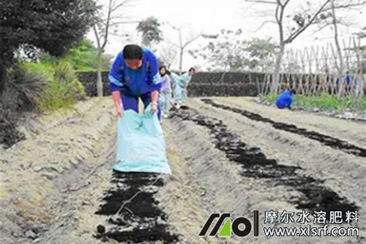 苹果树使用水溶肥追肥,使用施肥枪效果是不是最好的？