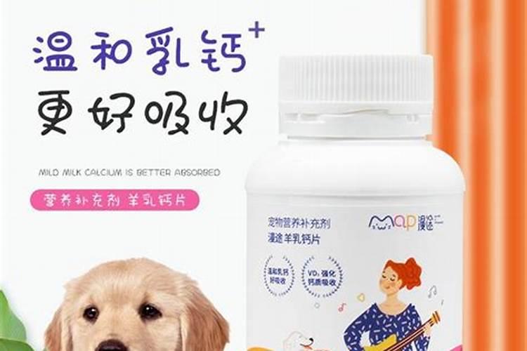 什么可以当养花的肥料用;养花没有肥料,用什么代替
