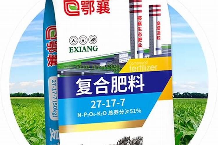马蹄如何追肥