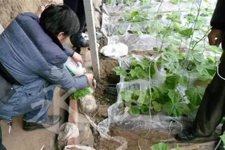 焦作市立海鑫生物科技有限公司怎么样？