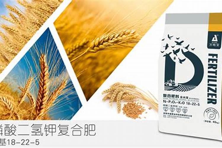 小麦扬花期可以施氮肥吗 能不能撒施尿素