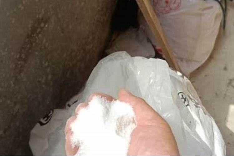 小麦返青期需要追施尿素吗