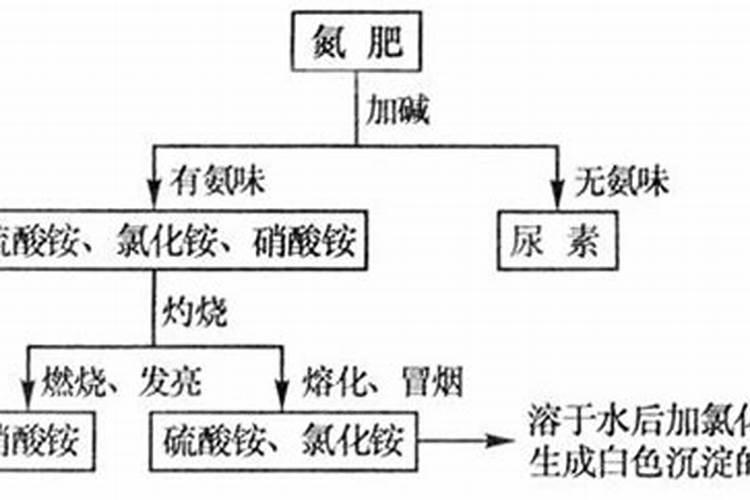 大蒜追肥高氮和平衡肥哪个好？