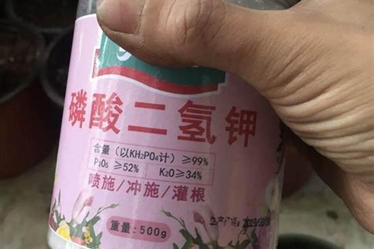 辣椒在前期冲高钾肥好还是冲平衡肥好？