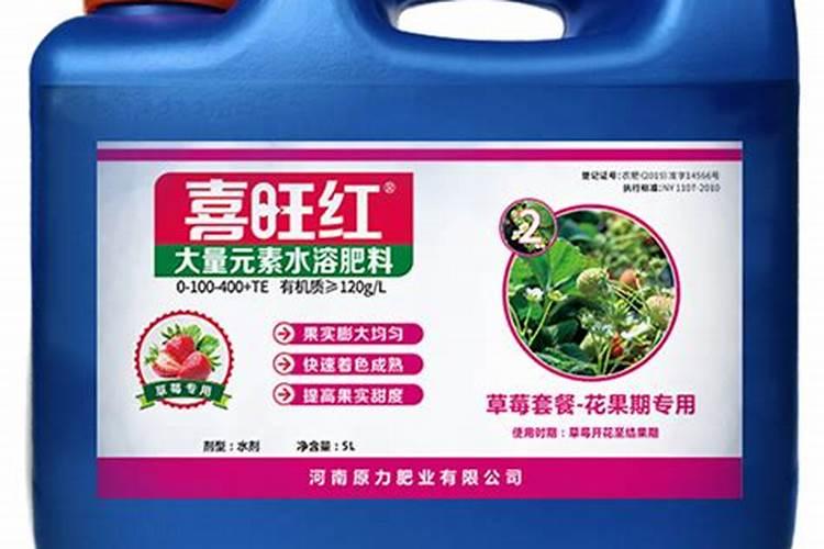 草莓西红柿绿顶冲什么肥绿顶好