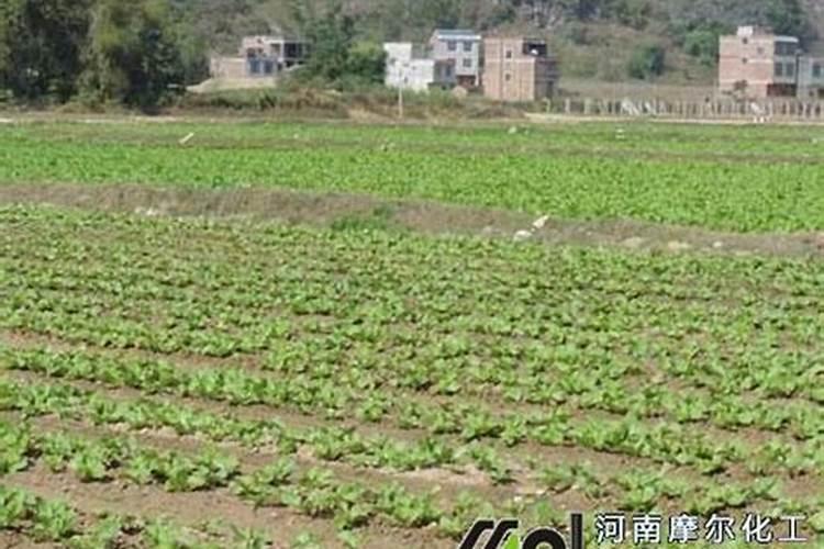 水溶肥福进门一亩用多少斤