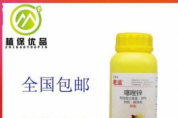 请问生菜软腐病怎么用药